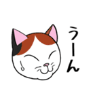 ねこちゃんいっぱい1 よく使う言葉（個別スタンプ：26）