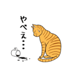 ねこちゃんいっぱい1 よく使う言葉（個別スタンプ：28）