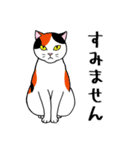 ねこちゃんいっぱい1 よく使う言葉（個別スタンプ：30）