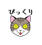 ねこちゃんいっぱい1 よく使う言葉（個別スタンプ：34）