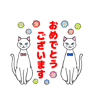 ねこちゃんいっぱい1 よく使う言葉（個別スタンプ：36）