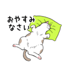 ねこちゃんいっぱい1 よく使う言葉（個別スタンプ：38）