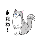 ねこちゃんいっぱい1 よく使う言葉（個別スタンプ：40）