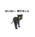 黒猫スタイル（個別スタンプ：8）