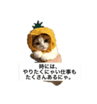 どらみの日常（個別スタンプ：5）