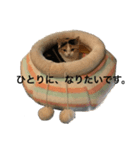 どらみの日常（個別スタンプ：7）