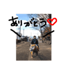 とわりん（個別スタンプ：5）