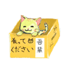 ゴロビシャスタンプ（個別スタンプ：16）