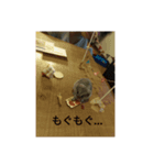 ハミさんのスタンプ（個別スタンプ：2）
