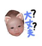 るりるりまる（個別スタンプ：13）