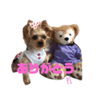 ラテ piro（個別スタンプ：8）