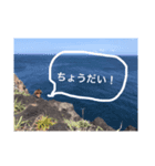 海洋スタンプ！（個別スタンプ：2）