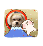 モコくんスタンプ（個別スタンプ：3）