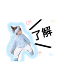 北森姉弟♡（個別スタンプ：3）