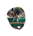 ジャックくんスタンプ（個別スタンプ：5）