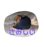 ジャックくんスタンプ（個別スタンプ：6）