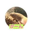 毎日どじょうさんと一緒❤️（個別スタンプ：18）