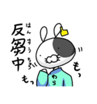 ウサギのじんさん使えるスタンプ（個別スタンプ：38）