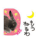 癒しのミニレッキス（個別スタンプ：13）
