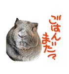 癒しのミニレッキス（個別スタンプ：15）