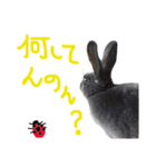 癒しのミニレッキス（個別スタンプ：18）