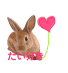 癒しのミニレッキス（個別スタンプ：32）