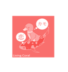 Living Coralスタンプ with 想い（個別スタンプ：13）