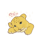 もっと！ちびらいおんちゃん（個別スタンプ：3）