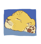 もっと！ちびらいおんちゃん（個別スタンプ：25）
