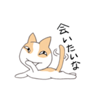 ネコの愛（個別スタンプ：7）