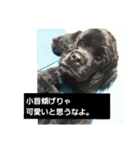辛辣なこてつ（個別スタンプ：4）