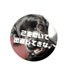 辛辣なこてつ（個別スタンプ：6）