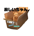 うちのろあちゃん。（個別スタンプ：8）