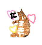 うちのろあちゃん。（個別スタンプ：13）