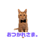 うちのろあちゃん。（個別スタンプ：18）
