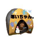 うちのろあちゃん。（個別スタンプ：19）