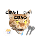 うちのろあちゃん。（個別スタンプ：20）