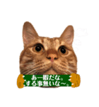 うちのろあちゃん。（個別スタンプ：23）