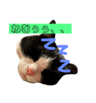 モモ＆くろスタンプ（個別スタンプ：7）