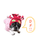 フレブル のんたん（個別スタンプ：3）
