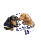 愛犬 スタンプ # 1（個別スタンプ：8）