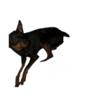 バグくんスタンプ（個別スタンプ：4）