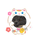 にゃんこファミリー2（個別スタンプ：6）