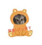 にゃんこファミリー2（個別スタンプ：33）