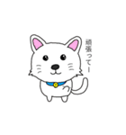 動物シリーズ 8種（個別スタンプ：22）