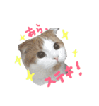 かんたろうのリアクションスタンプ（個別スタンプ：1）
