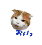 かんたろうのリアクションスタンプ（個別スタンプ：3）