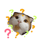 かんたろうのリアクションスタンプ（個別スタンプ：5）