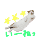 かんたろうのリアクションスタンプ（個別スタンプ：6）