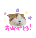 かんたろうのリアクションスタンプ（個別スタンプ：18）